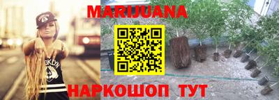 стафф Севастополь