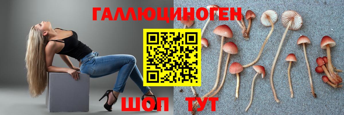 Псилоцибиновые грибы прущие грибы  Вход с VPN  Реж 